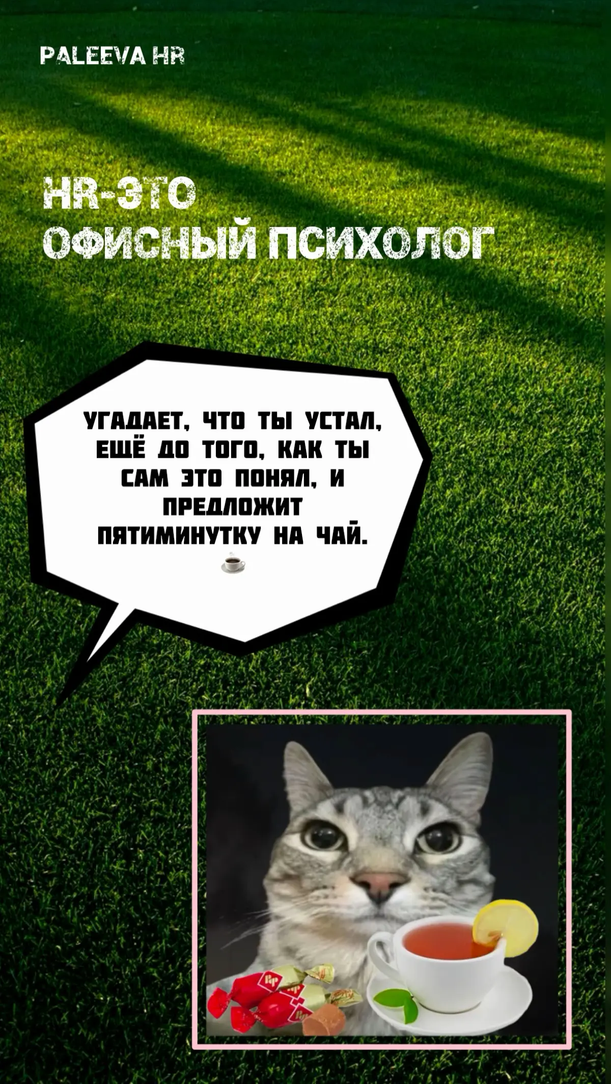 А кто такой HR? | Сетка — социальная сеть от hh.ru