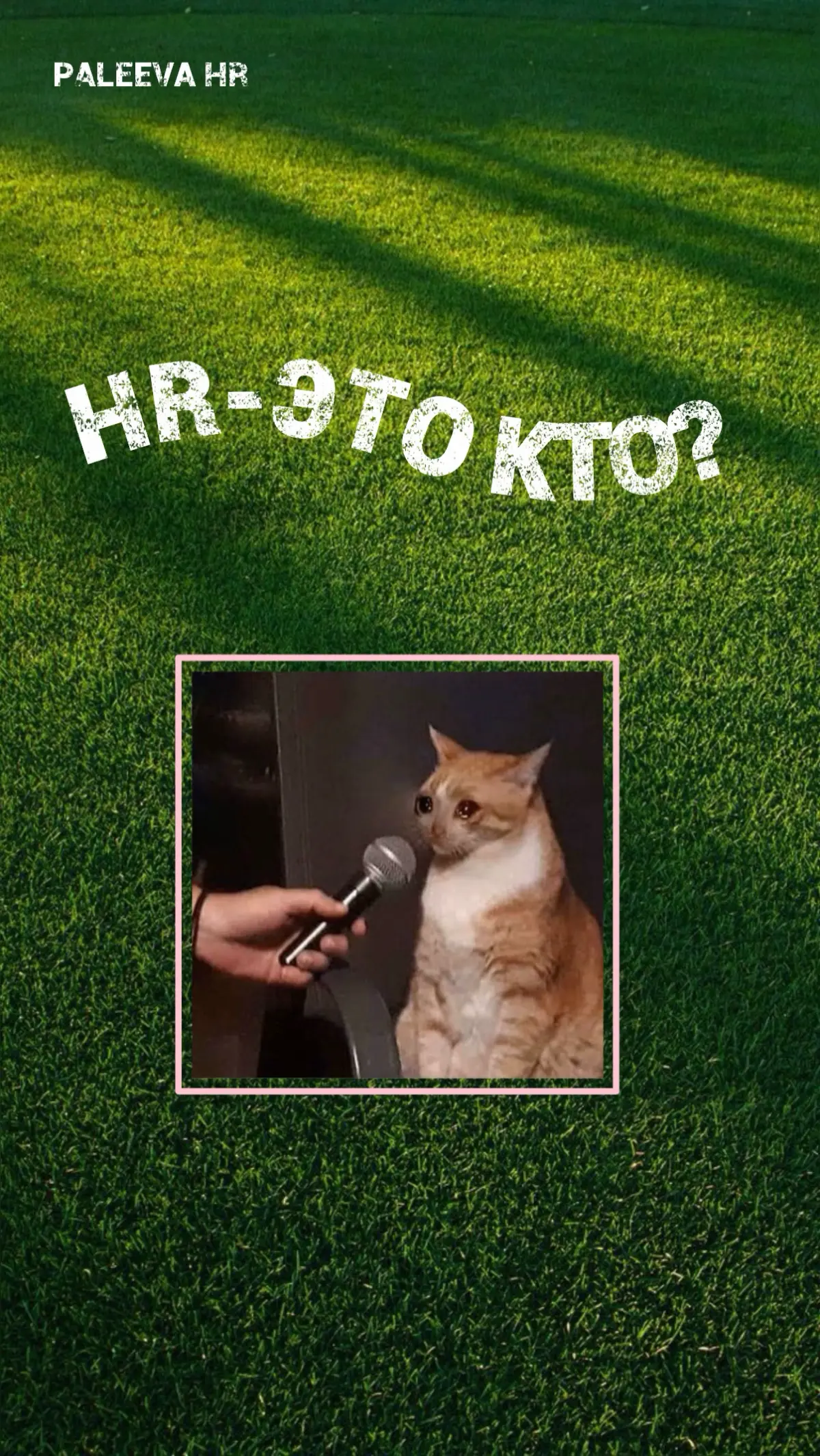 А кто такой HR? | Сетка — социальная сеть от hh.ru