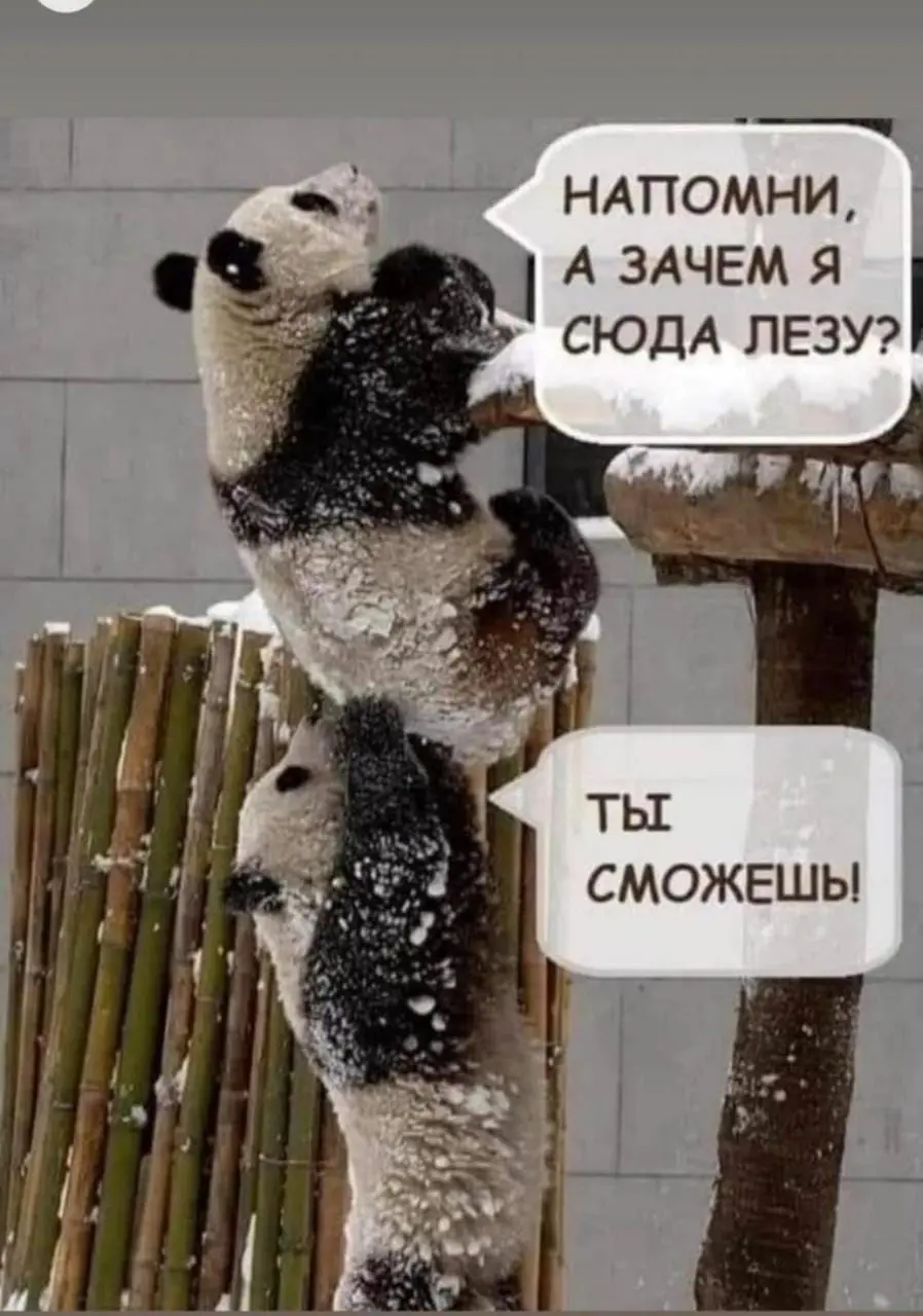 Главное не сдаваться 😂
БЛОГ В ТГ / БЛОГ В MAX
#Юмор
В этом посте были ссылки, но мы их удалили по правилам Сетки | Сетка — социальная сеть от hh.ru