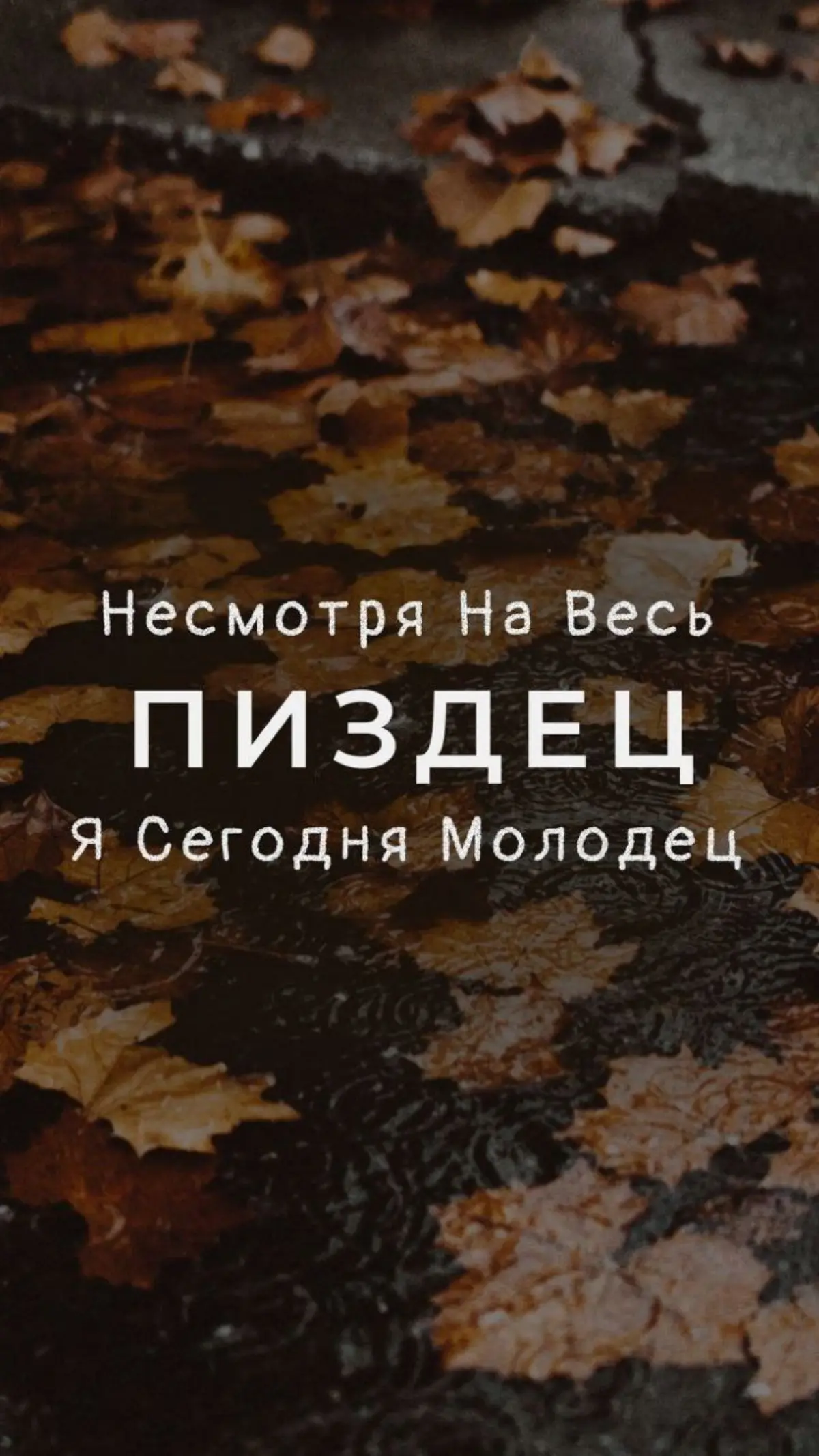 Зачем знать свои врождённые параметры? Ч. 2 | Сетка — социальная сеть от hh.ru