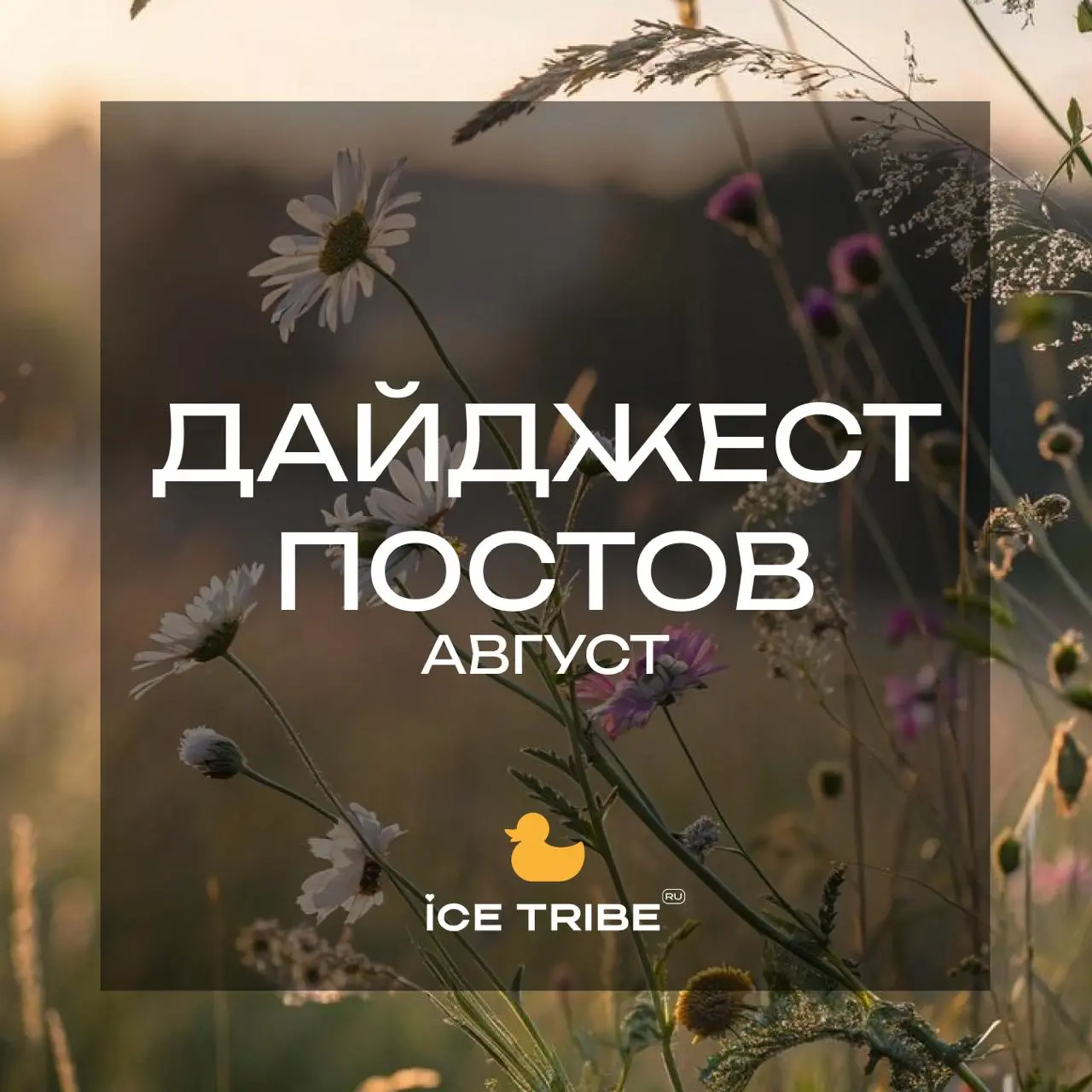 На пороге сентябрь, а это значит, что пора делать паузу и перенастраивать внутренние ритмы 🍂
Заходить в осенний темп лучше без суеты и на полном заряде | Сетка — социальная сеть от hh.ru