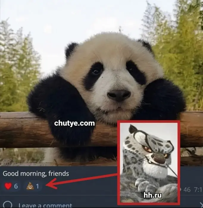 ⬛️ > 🟥 | Сетка — социальная сеть от hh.ru