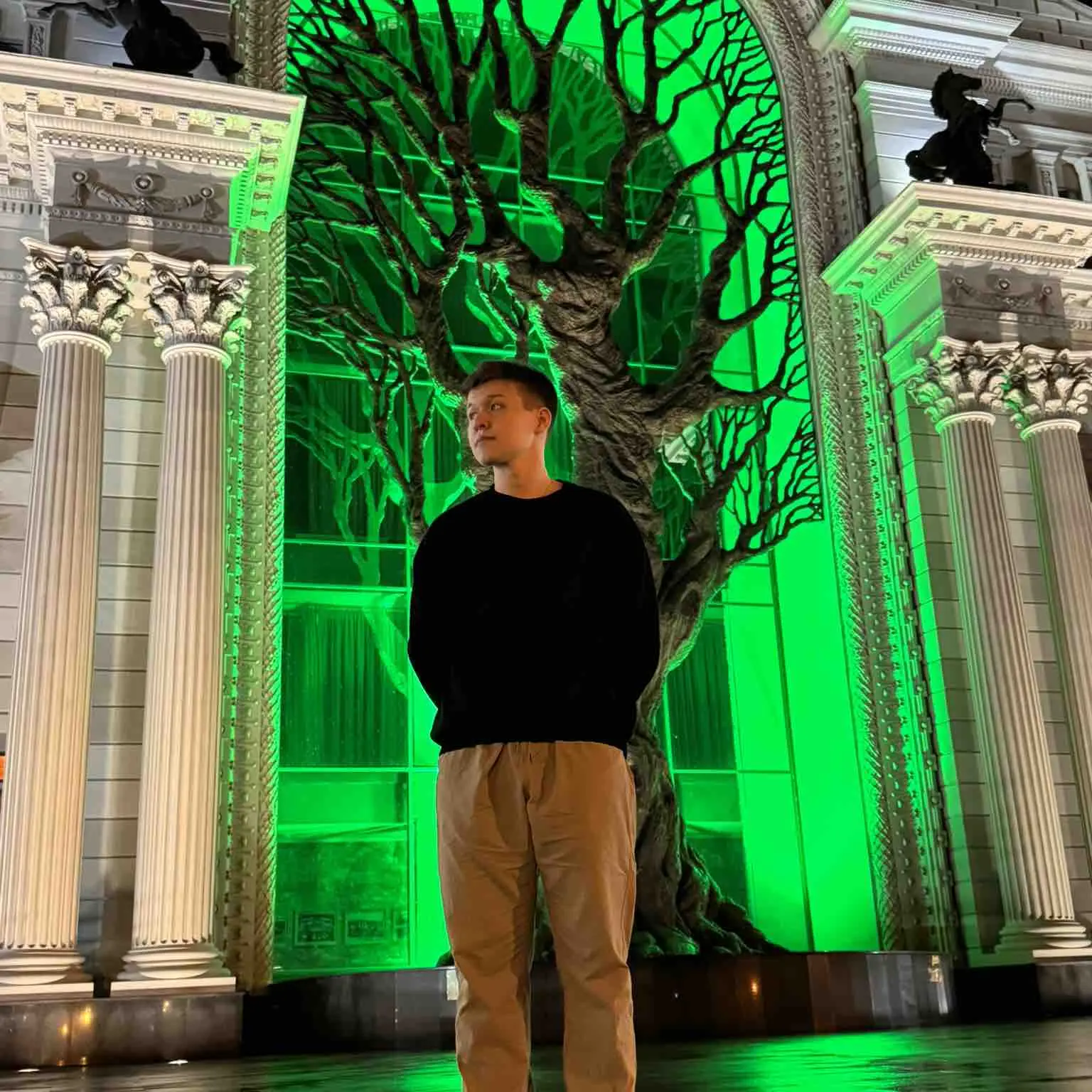 Network member avatar