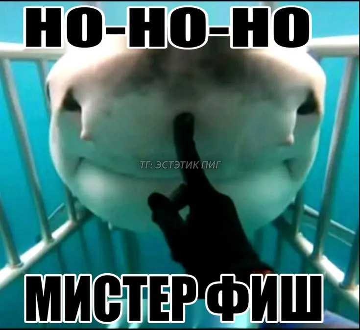 Вы конченные? | Сетка — социальная сеть от hh.ru