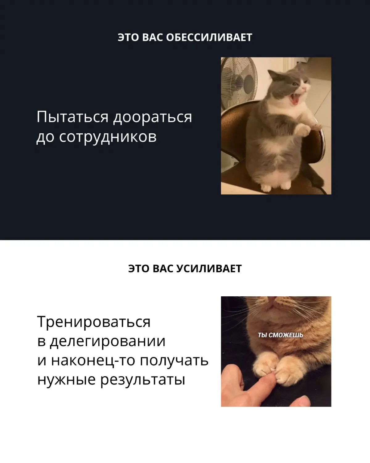 Ненапряжная жизнь | Сетка — социальная сеть от hh.ru