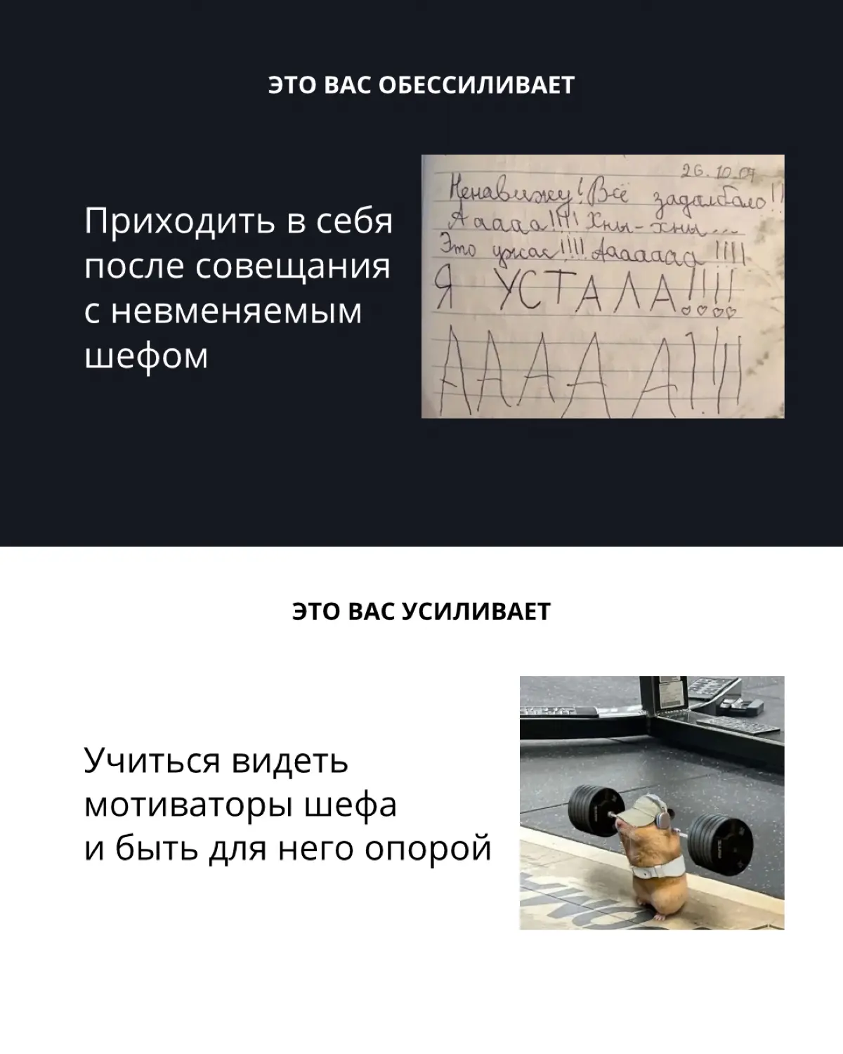 Ненапряжная жизнь | Сетка — социальная сеть от hh.ru
