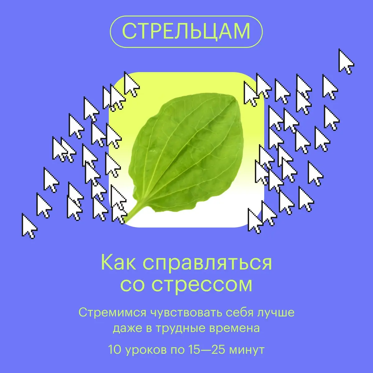 Больше увлекательных курсов и вебинаров вы найдете в Учебнике Т—Ж 🎓💡 | Сетка — социальная сеть от hh.ru