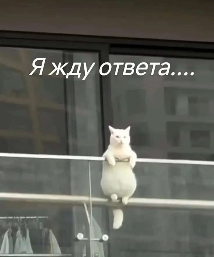💔 Боль рекрутера | Сетка — социальная сеть от hh.ru