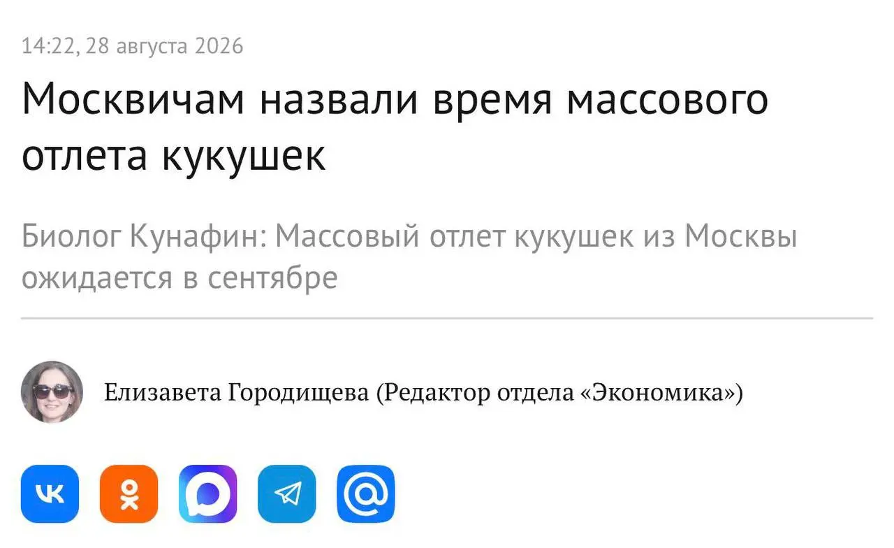 С первым сентября, друзья!
Не расстраивайтесь, осенью тоже клёво!
Вот, например, ожидается массовый отлет кукушек
✈️ | Сетка — социальная сеть от hh.ru
