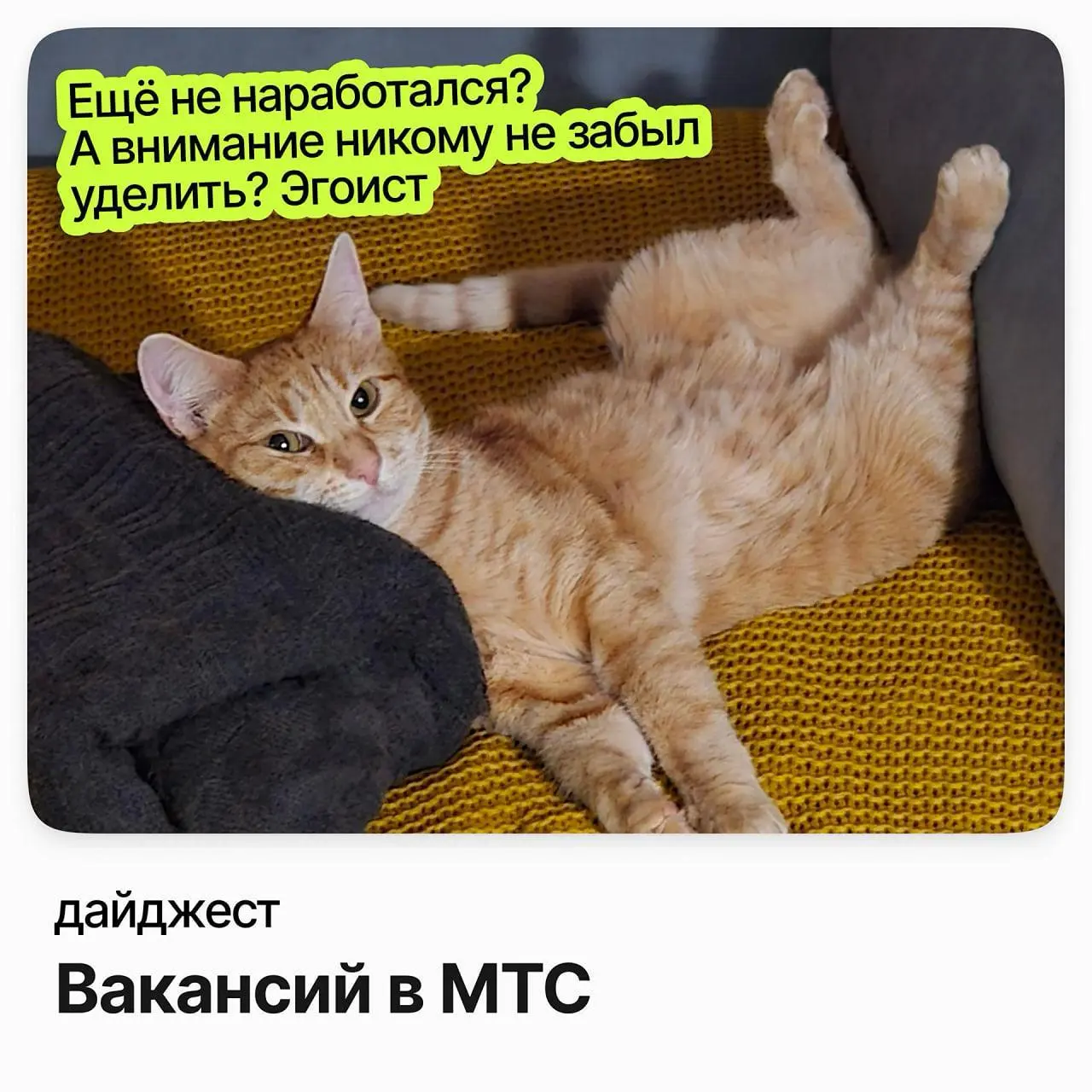 💼💼💼 Вакансии в МТС
МТС — ведущий оператор связи в России, развивают телеком нового поколения: объединяют связь, цифровые и финансовые сервисы с возможностями ИИ и задают новые стандарты пользовательск... | Сетка — социальная сеть от hh.ru