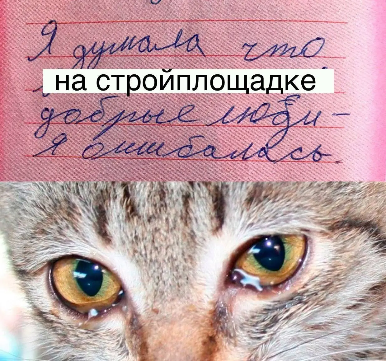 первый выезд на авторский | Сетка — социальная сеть от hh.ru