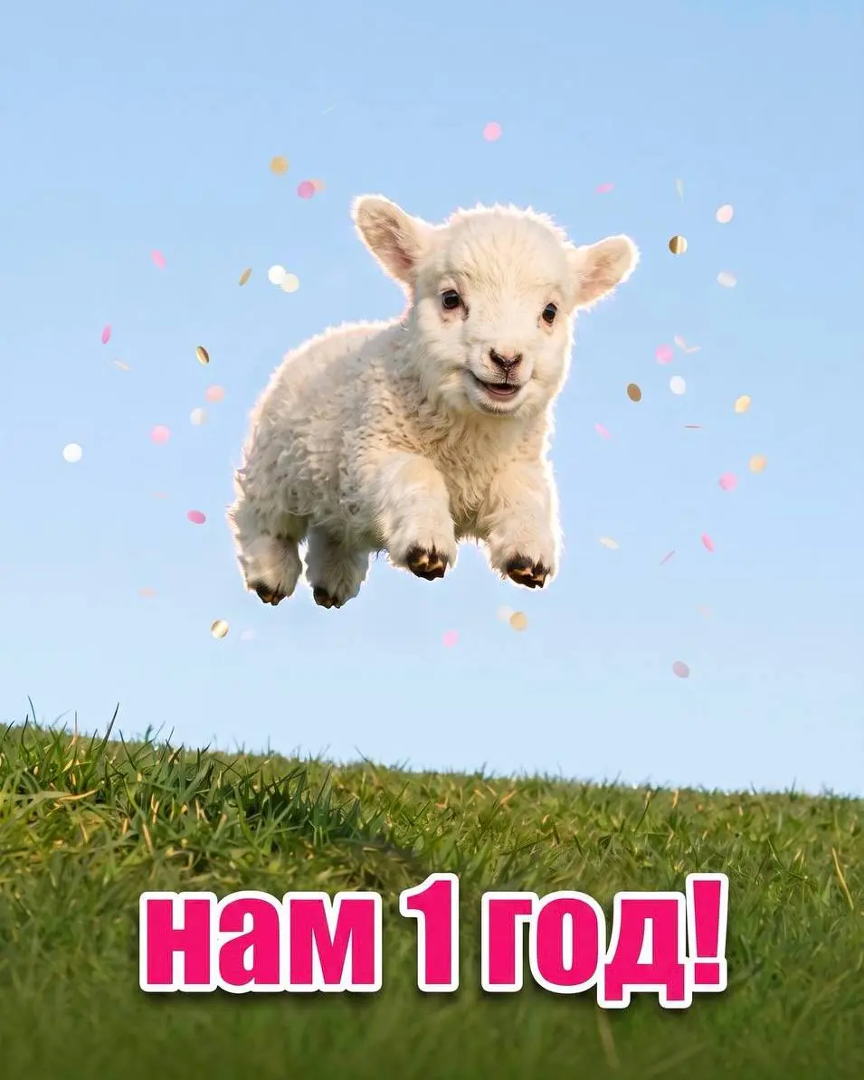 С Днем знаний! А, нет! С днем рождения этого канала 🥳 | Сетка — социальная сеть от hh.ru
