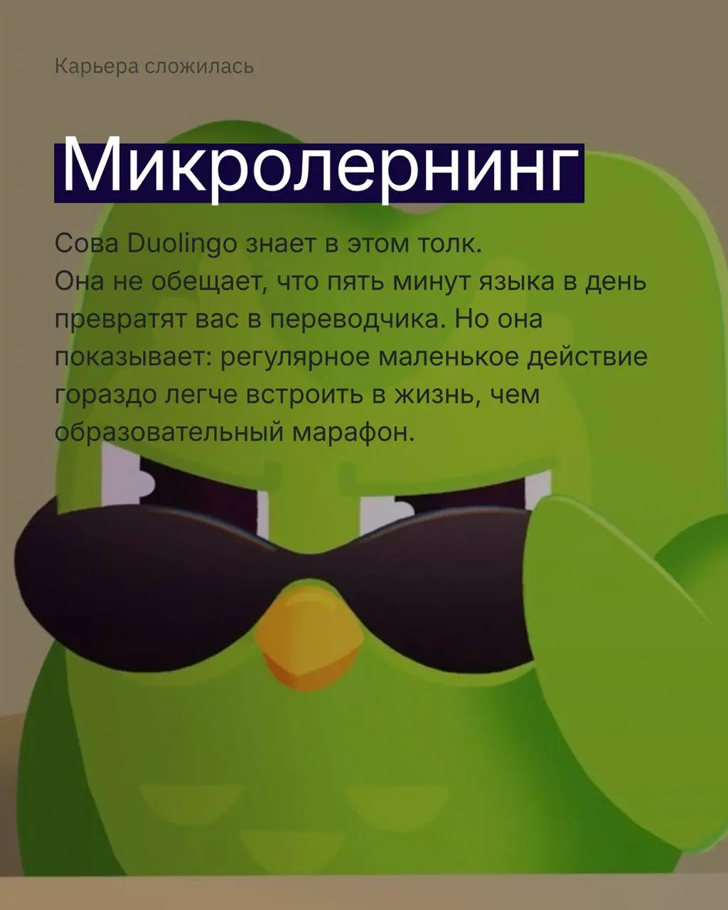 Не знаю, как вы, но я обожаю 1 сентября, но во взрослом возрасте учиться нелегко | Сетка — социальная сеть от hh.ru
