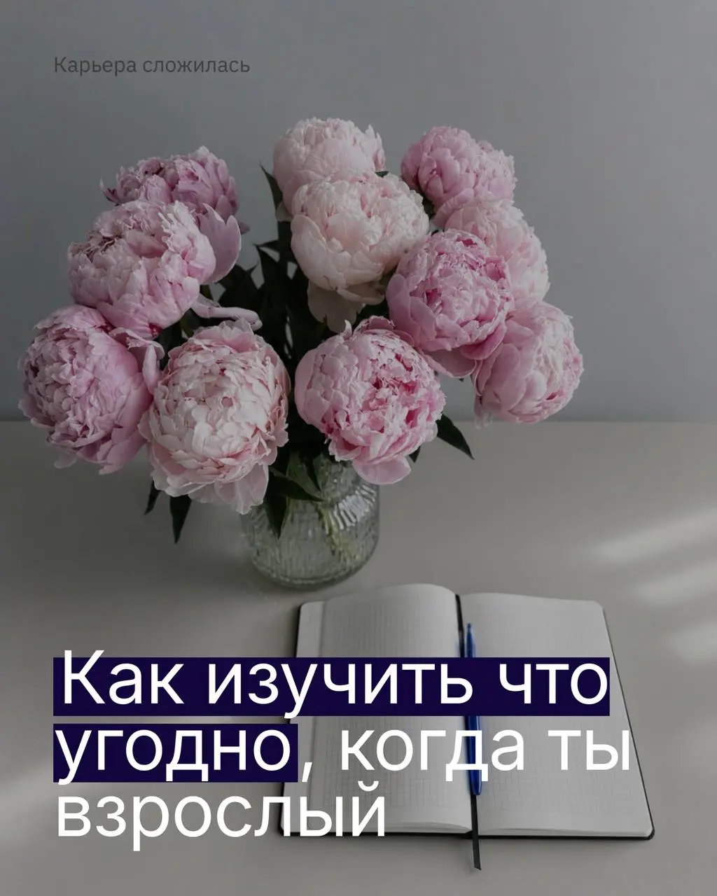 Не знаю, как вы, но я обожаю 1 сентября, но во взрослом возрасте учиться нелегко | Сетка — социальная сеть от hh.ru