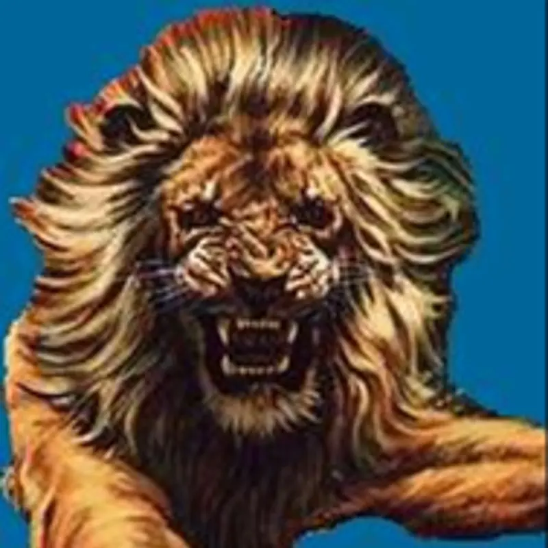 Дмитрий Чихачев
