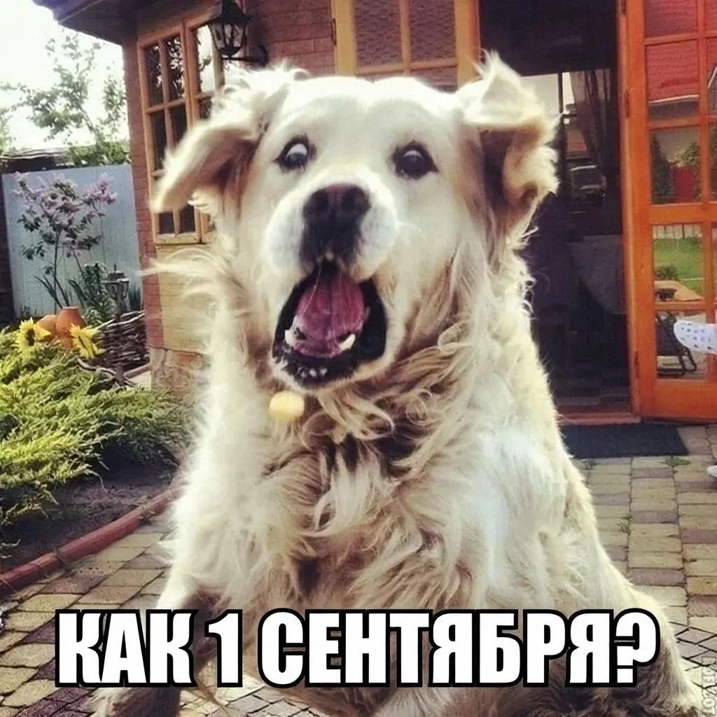 Когда клиент пишет „а можно ещё чуть-чуть поменять?“ ровно за минуту до сдачи макета — и ты делаешь вид, что это запланированная фича. | Сетка — социальная сеть от hh.ru