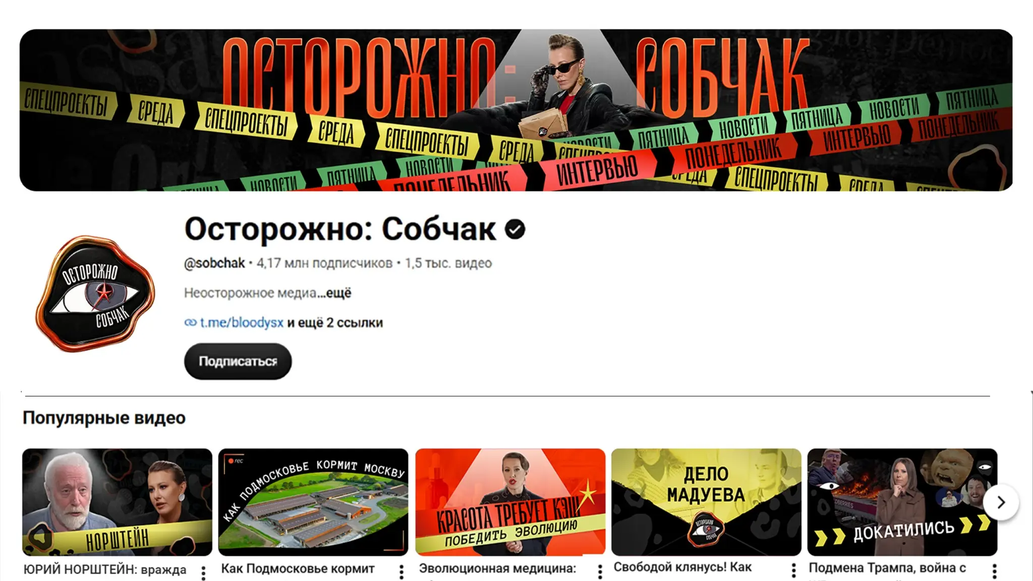 Редизайн YouTube канала ОСТОРОЖНО:СОБЧАК | Сетка — социальная сеть от hh.ru