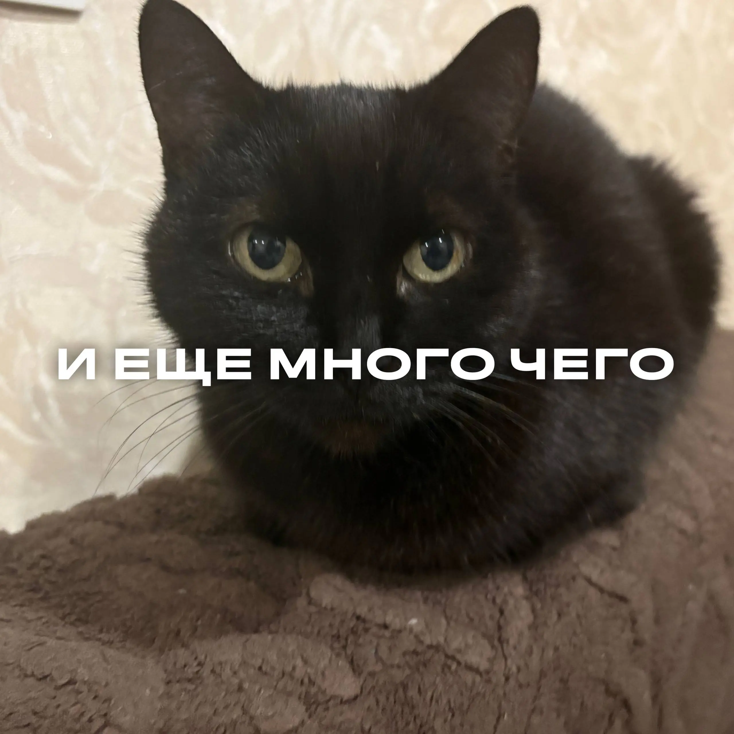 Лето позади, а мы – в деле
Что мы успели? Честно: перечислить всё невозможно. За эти месяцы мы сделали столько, что даже в ленте не уместится.
Смотрим слайды и вдохновляемся | Сетка — социальная сеть от hh.ru