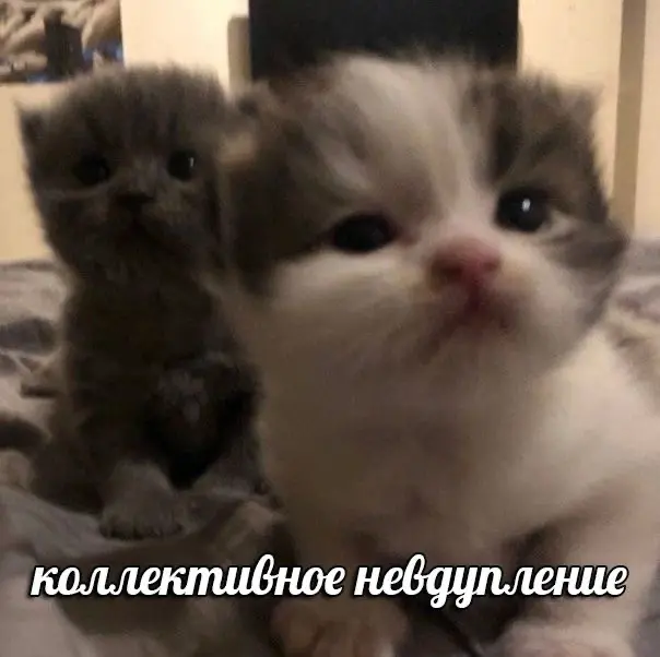 Москва слезам не верит, а резюме не читает! | Сетка — социальная сеть от hh.ru