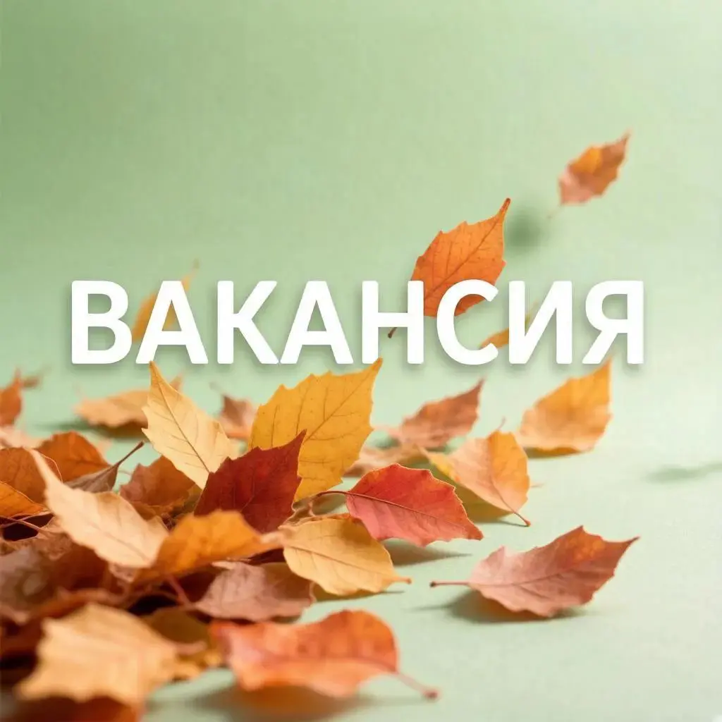 Вакансия | Сетка — социальная сеть от hh.ru