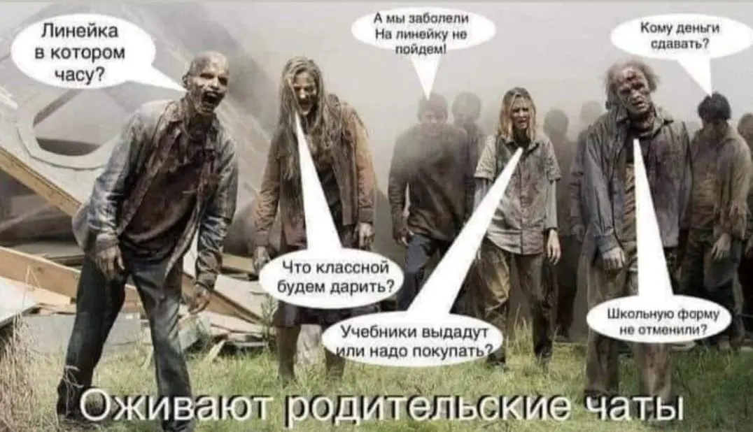 1 сентября | Сетка — социальная сеть от hh.ru