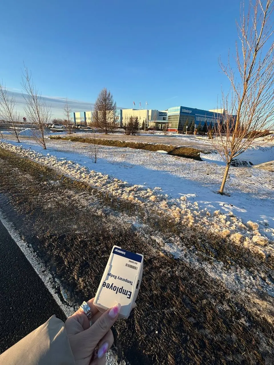 Карьерная стратегия старой школы: сиди и жди | Сетка — социальная сеть от hh.ru