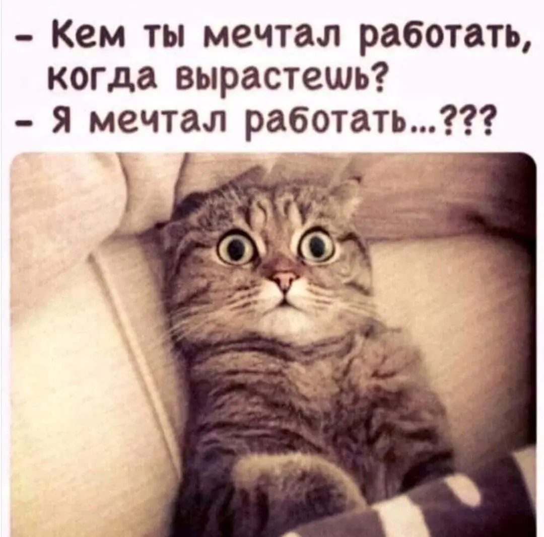 Неправильно поставленный вопрос 😂
БЛОГ В ТГ / БЛОГ В MAX
#Юмор #Коты
В этом посте были ссылки, но мы их удалили по правилам Сетки | Сетка — социальная сеть от hh.ru