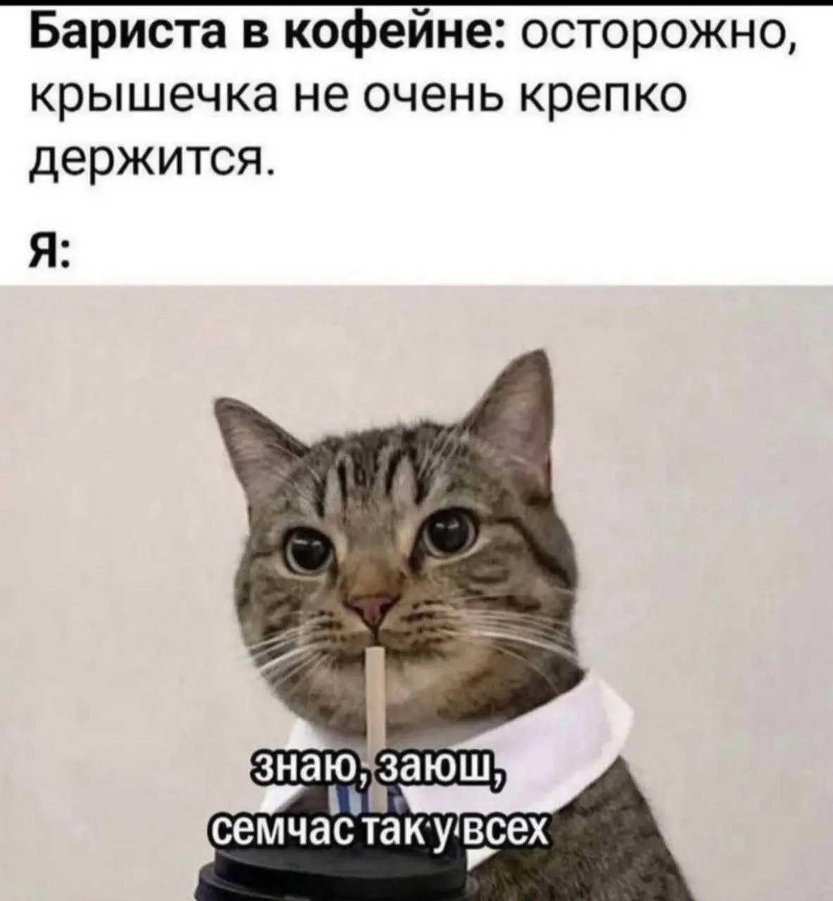 Доброе утро | Сетка — социальная сеть от hh.ru