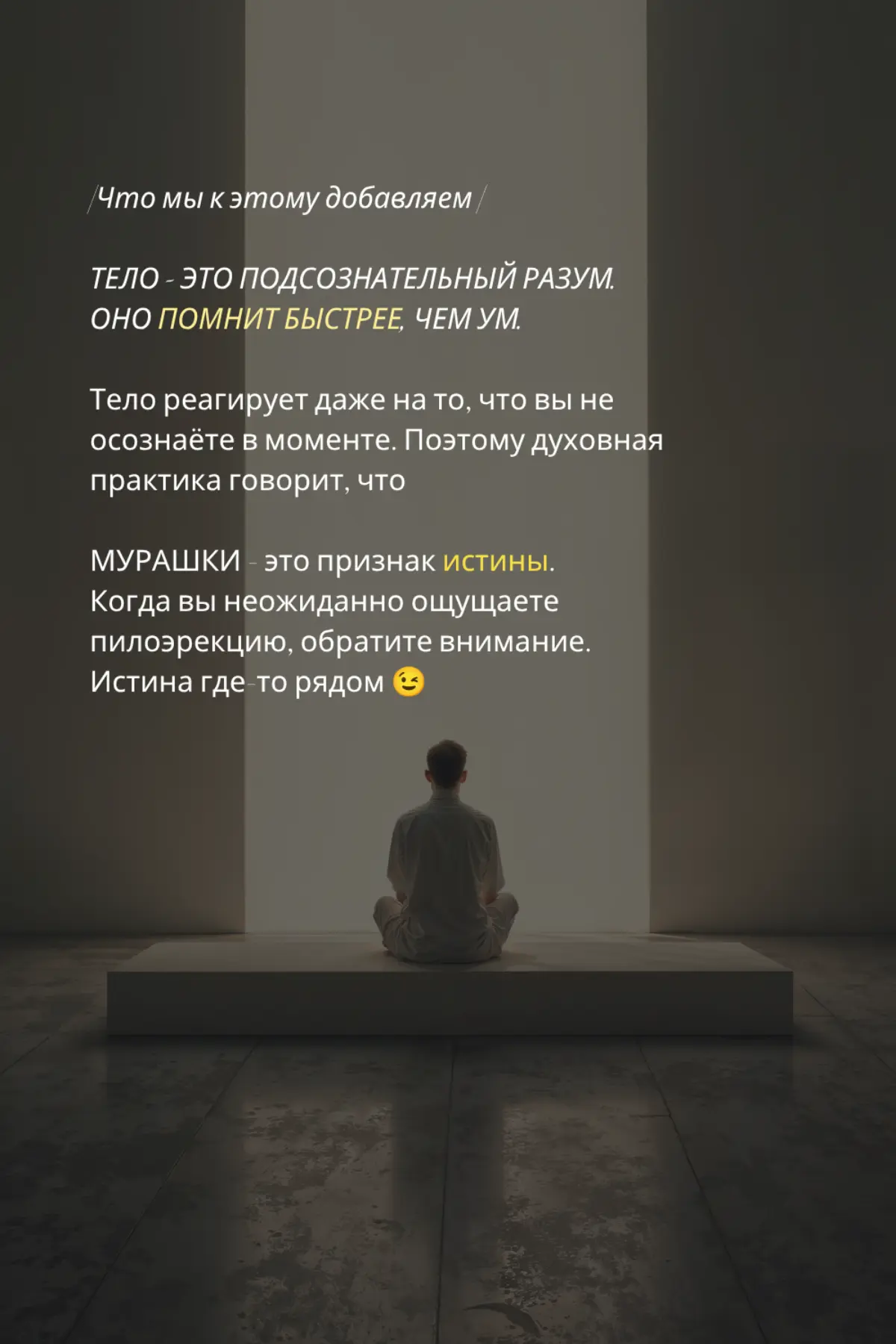 Мурашки ✨️ | Сетка — социальная сеть от hh.ru