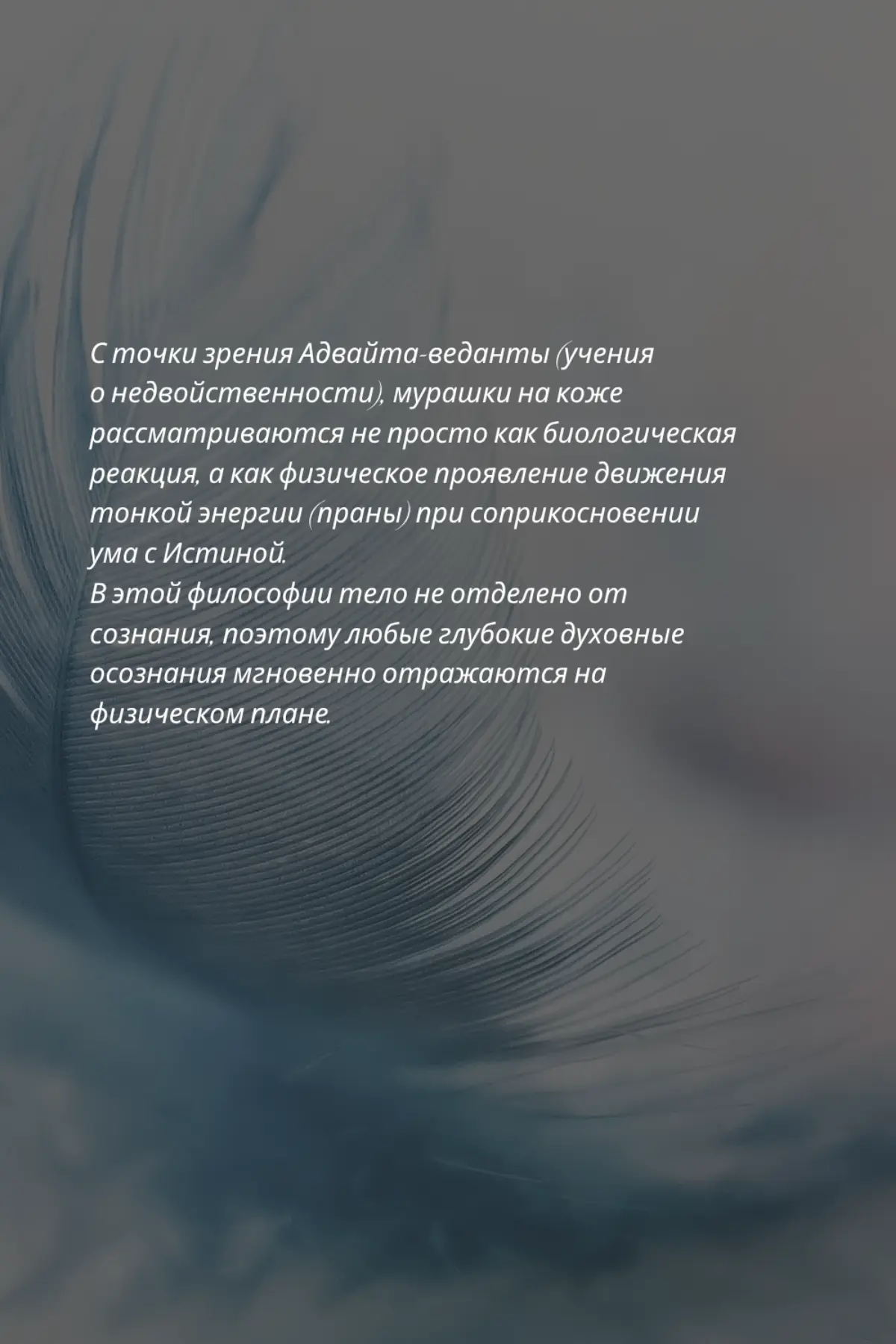 Мурашки ✨️ | Сетка — социальная сеть от hh.ru