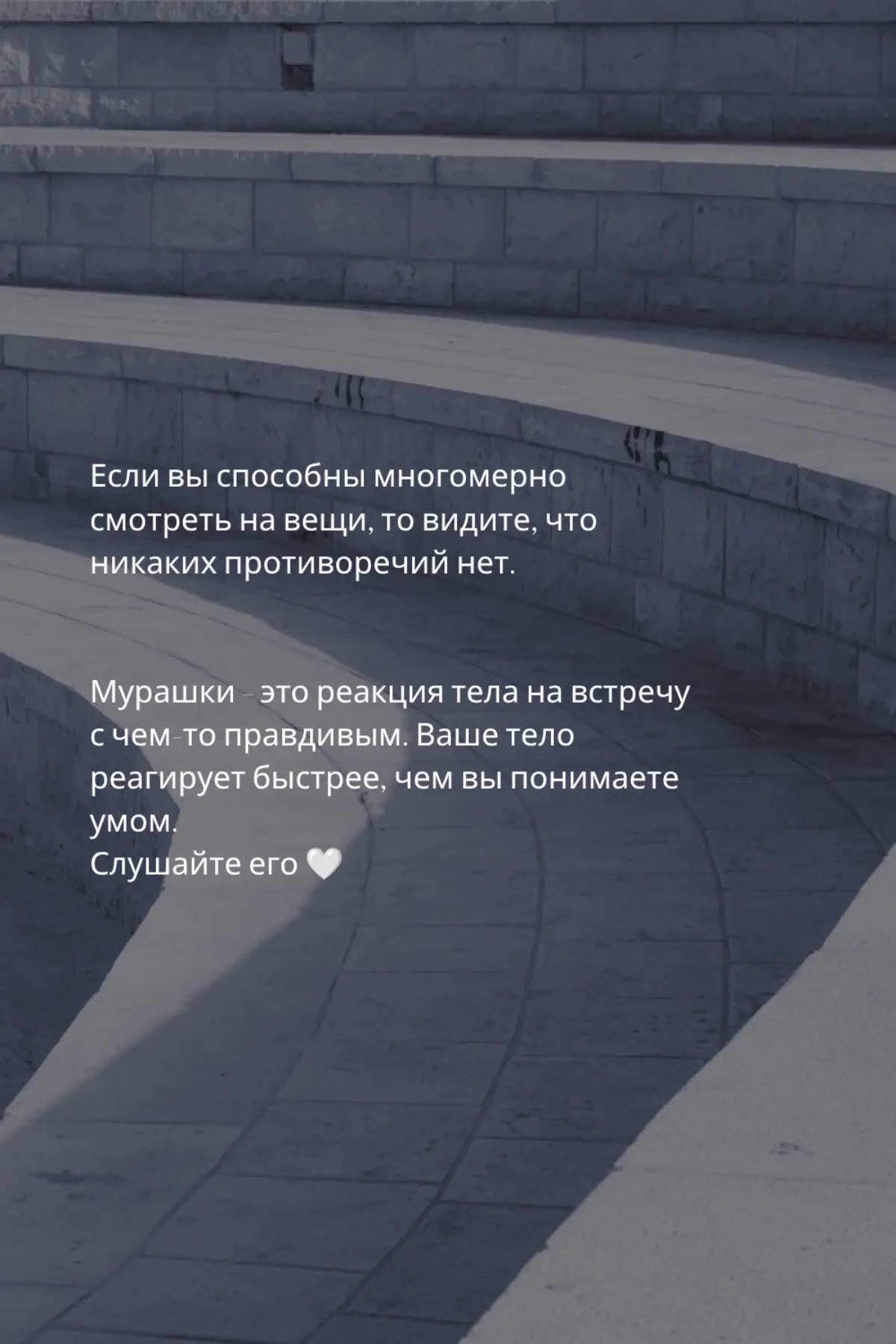 Мурашки ✨️ | Сетка — социальная сеть от hh.ru