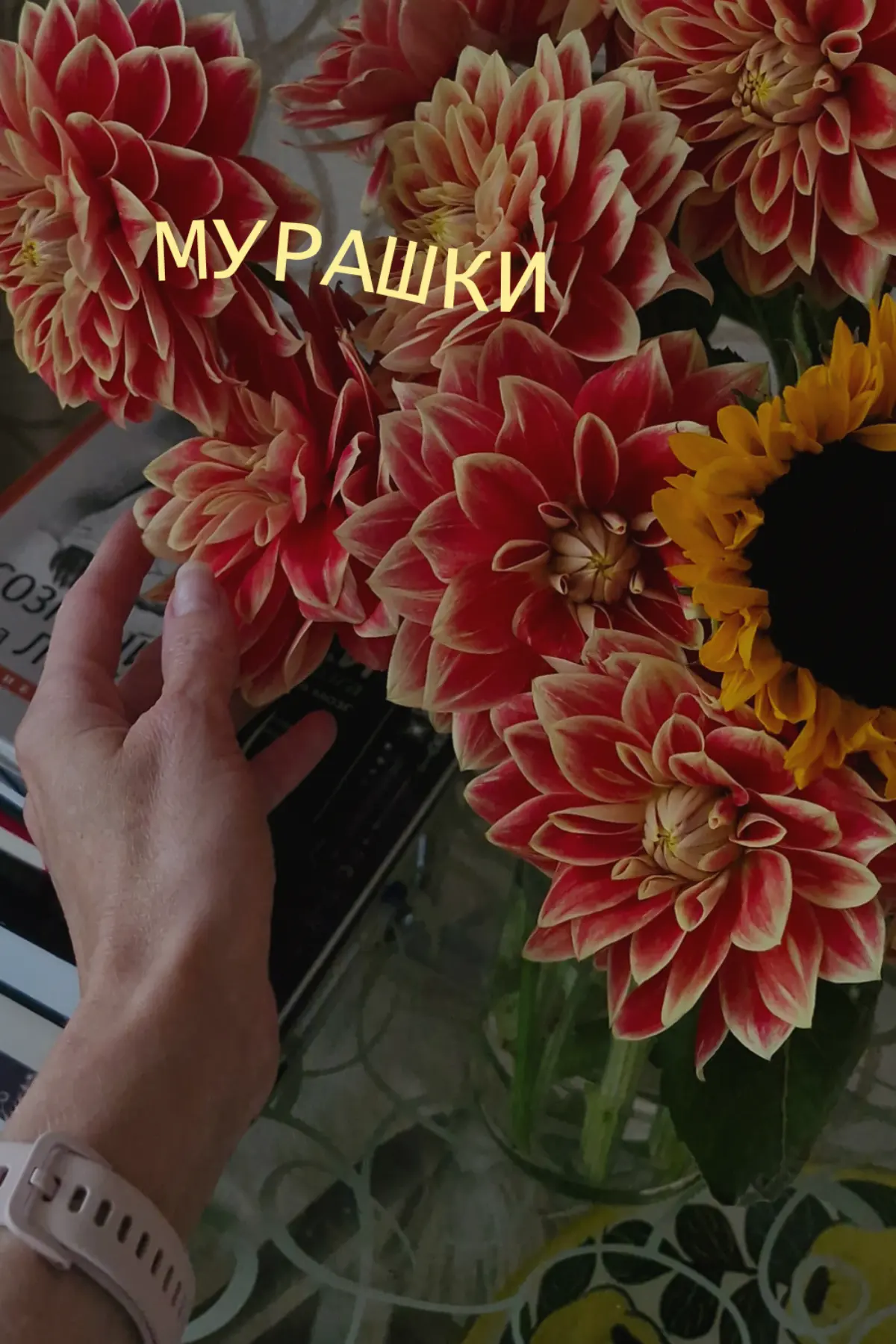 Мурашки ✨️ | Сетка — социальная сеть от hh.ru