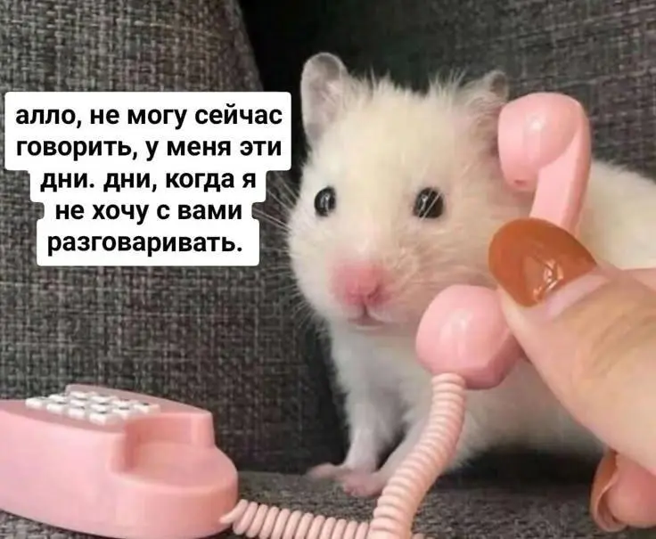 Заказчик, после того как ты выслал ему свой раздел в редактируемом формате | Сетка — социальная сеть от hh.ru