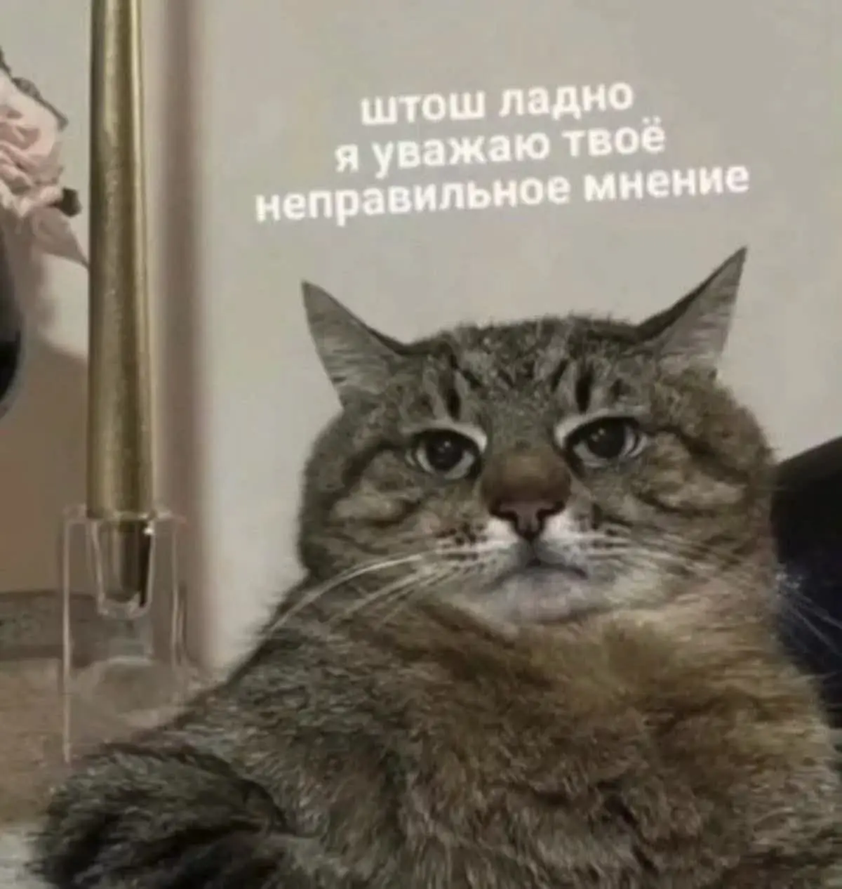 «Сделайте нам так же, вы же уже делали «такое»... | Сетка — социальная сеть от hh.ru