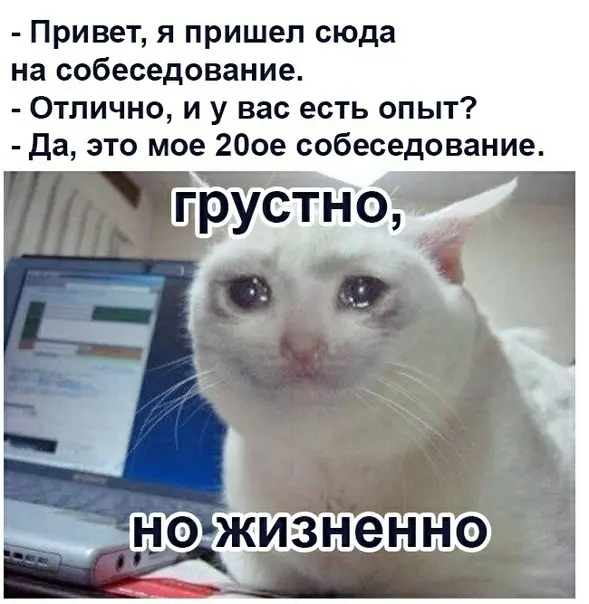 90% кандидатов тратят моё время | Сетка — социальная сеть от hh.ru