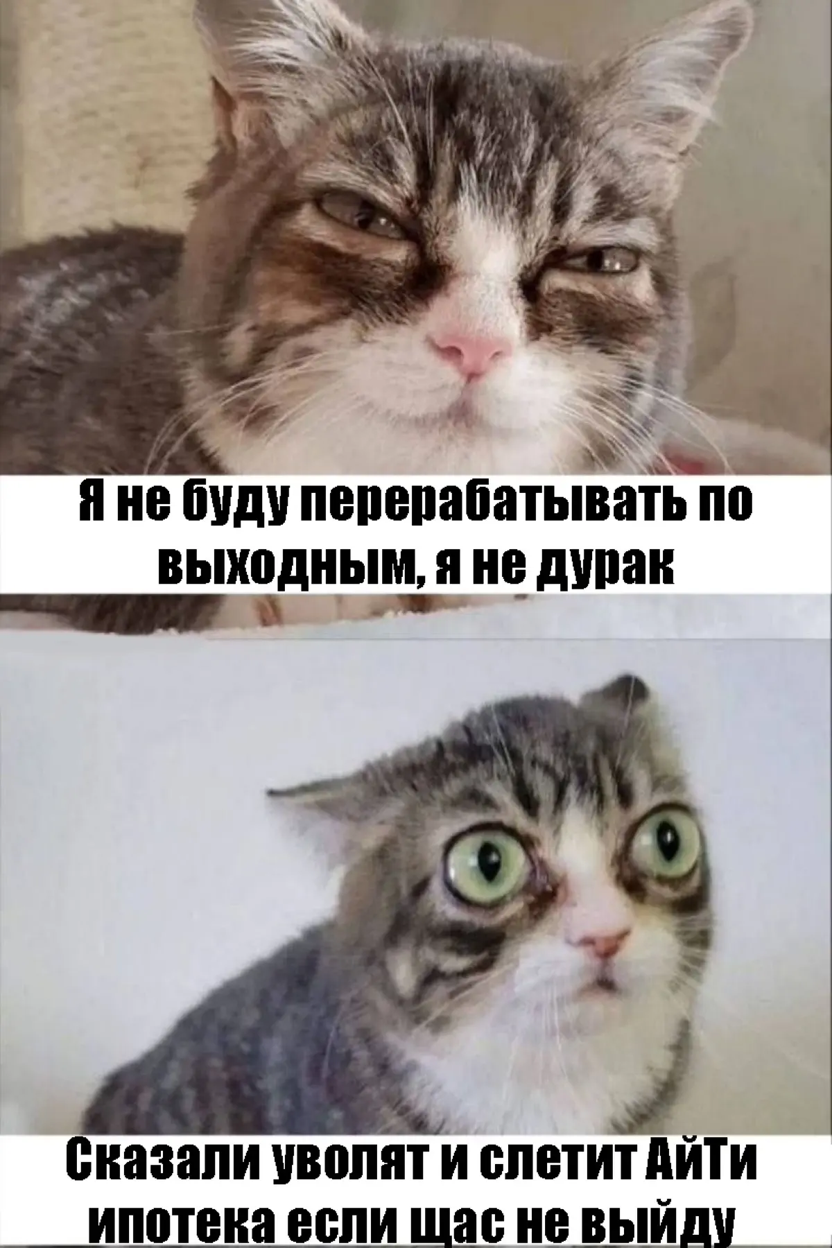 Подборка мемов про рабочие процессы. Сохраняйте, чтобы поделиться с коллегами 😜 | Сетка — социальная сеть от hh.ru