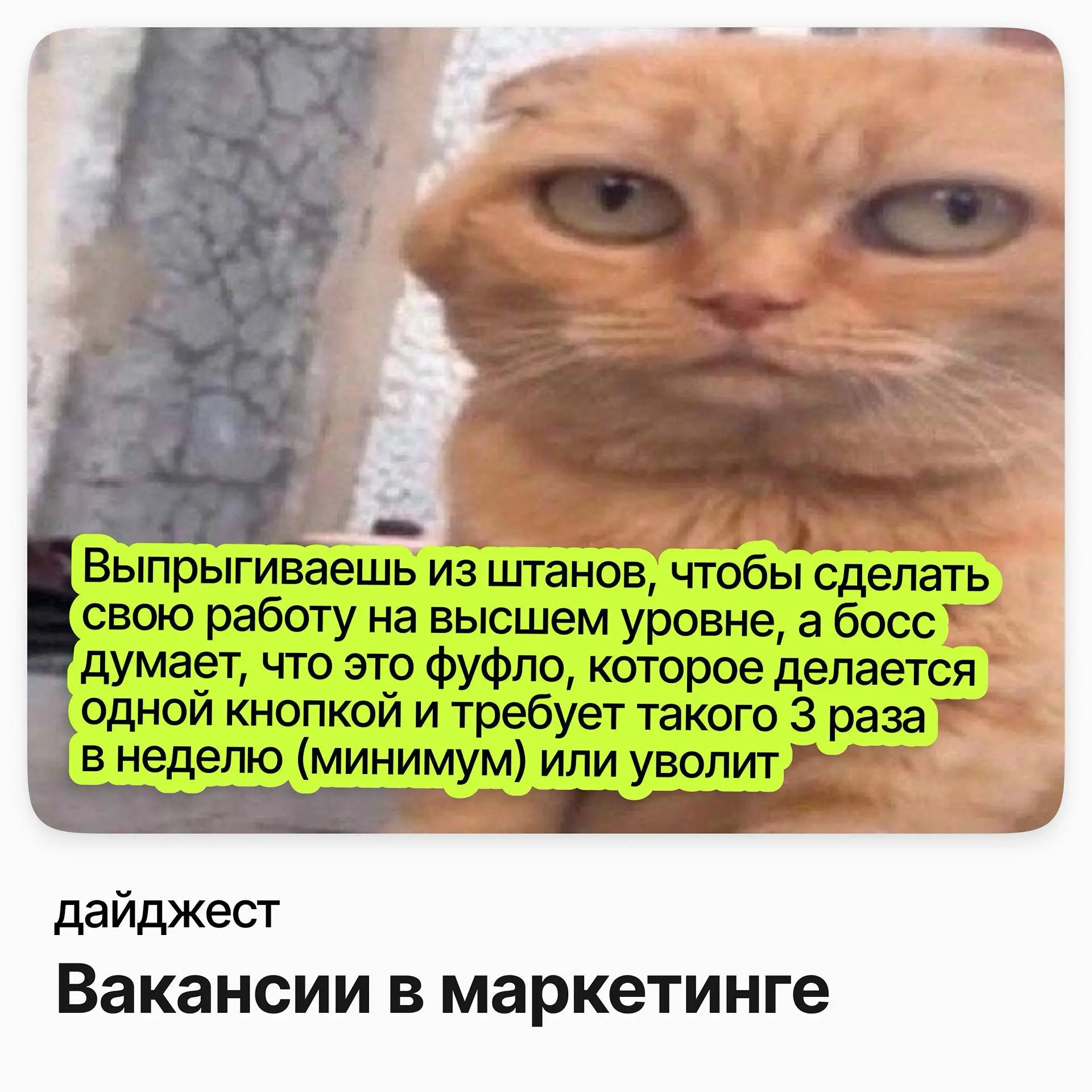 💼💼💼Вакансии в маркетинге
Директор по маркетингу / Деловые линии
Зарплата: от 219 000 ₽ /на руки
Подробнее
Бренд-менеджер «Проспекта» / Материа Медика Холдинг
Зарплата: от 199 000 ₽ /на руки
Подробнее
... | Сетка — социальная сеть от hh.ru