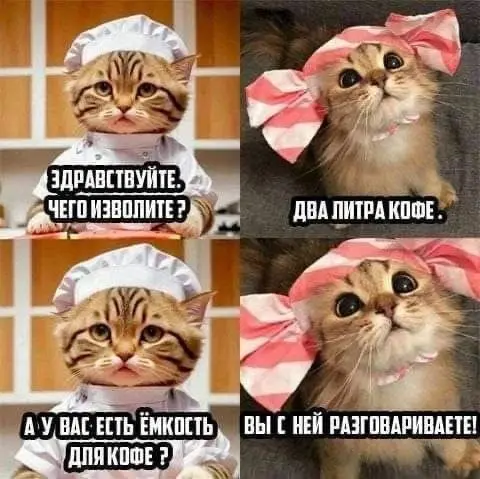 Каждое утро | Сетка — социальная сеть от hh.ru