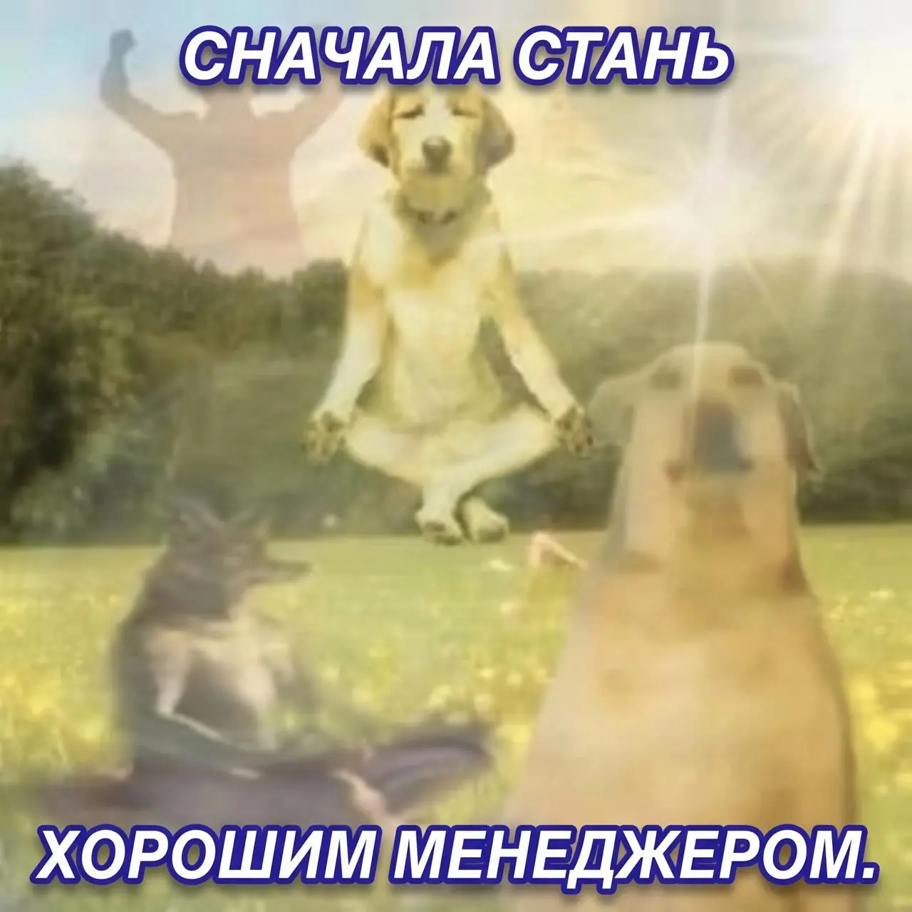 Работа с AI-агентами похожа на менеджмент сотрудника, который технически умнее тебя, но сильно хуже понимает бизнес | Сетка — социальная сеть от hh.ru