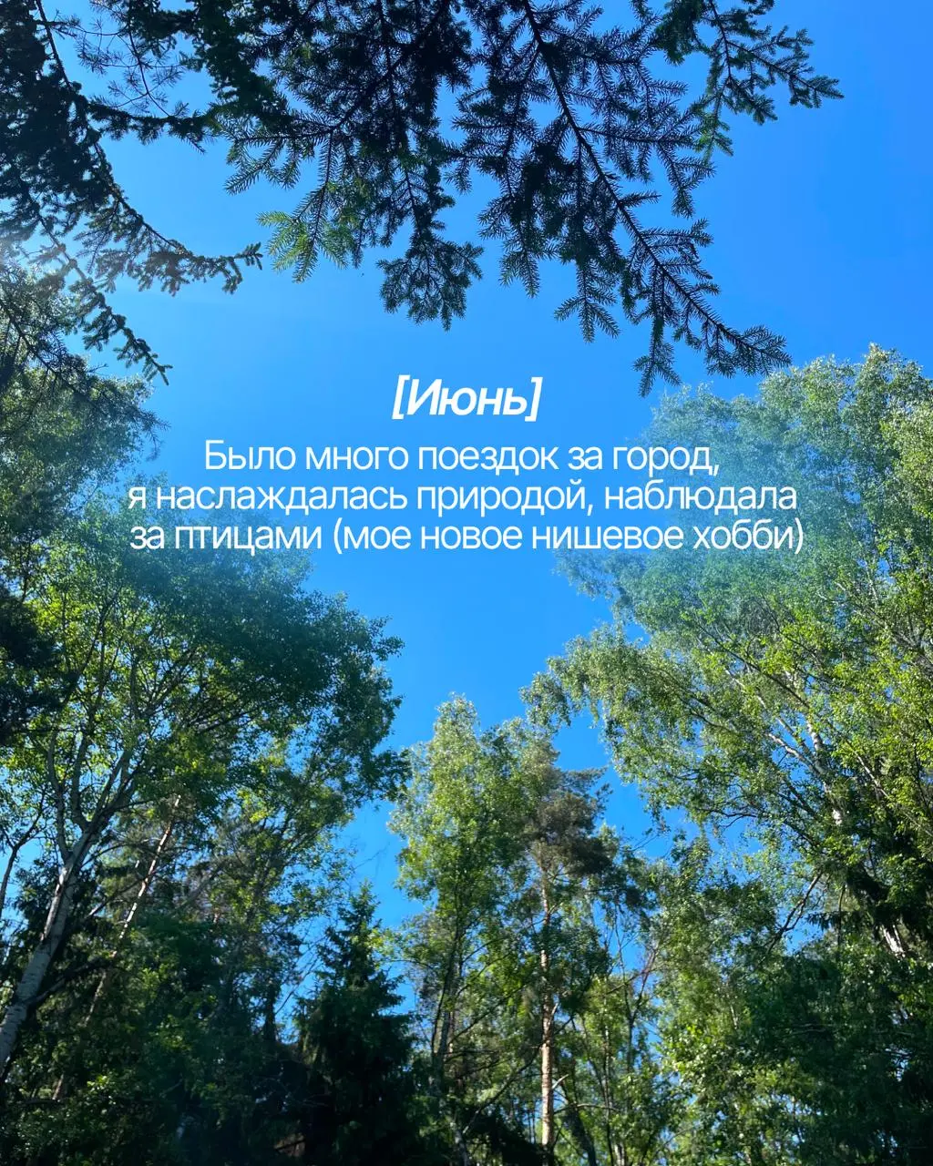 Сочинение на тему: Как я провела лето)
Лето на самом деле было тревожным 🙃
Меня везде догоняли новости, как бы я ни старалась от них спрятаться. Не было классных поездок и каких-то супер-ярких событий | Сетка — социальная сеть от hh.ru