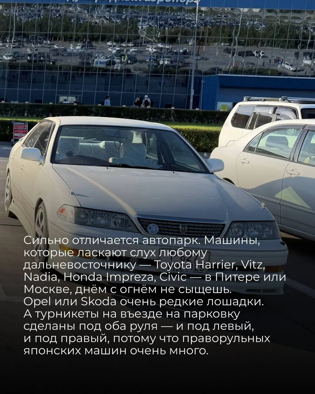Про Дальний Восток
Я прожила в Благовещенске тридцать лет, и уже десять лет как переехала с семьей
в Санкт-Петербург. Туда я теперь приезжаю только в гости | Сетка — социальная сеть от hh.ru
