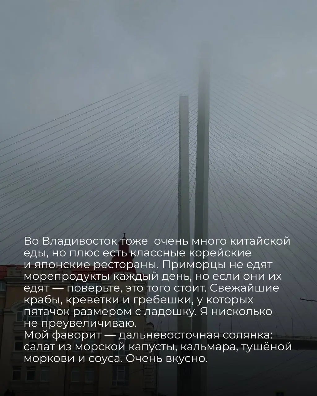Про Дальний Восток
Я прожила в Благовещенске тридцать лет, и уже десять лет как переехала с семьей
в Санкт-Петербург. Туда я теперь приезжаю только в гости | Сетка — социальная сеть от hh.ru