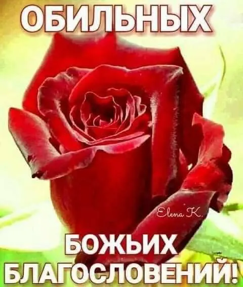 Всех с началом делового сезона, друзья по сетке! | Сетка — социальная сеть от hh.ru