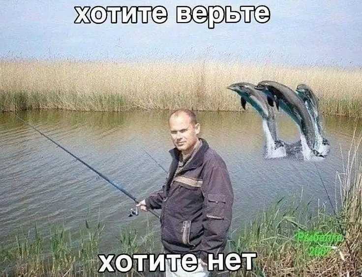 А вы изучаете работодателя перед откликом? А я вот изучила | Сетка — социальная сеть от hh.ru
