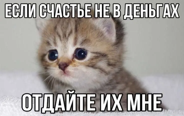 Навстречу новому 🙃 | Сетка — социальная сеть от hh.ru