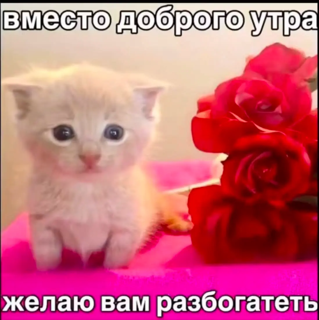 выставляю мемы пока меня не примут на работу ✌🏼 | Сетка — социальная сеть от hh.ru