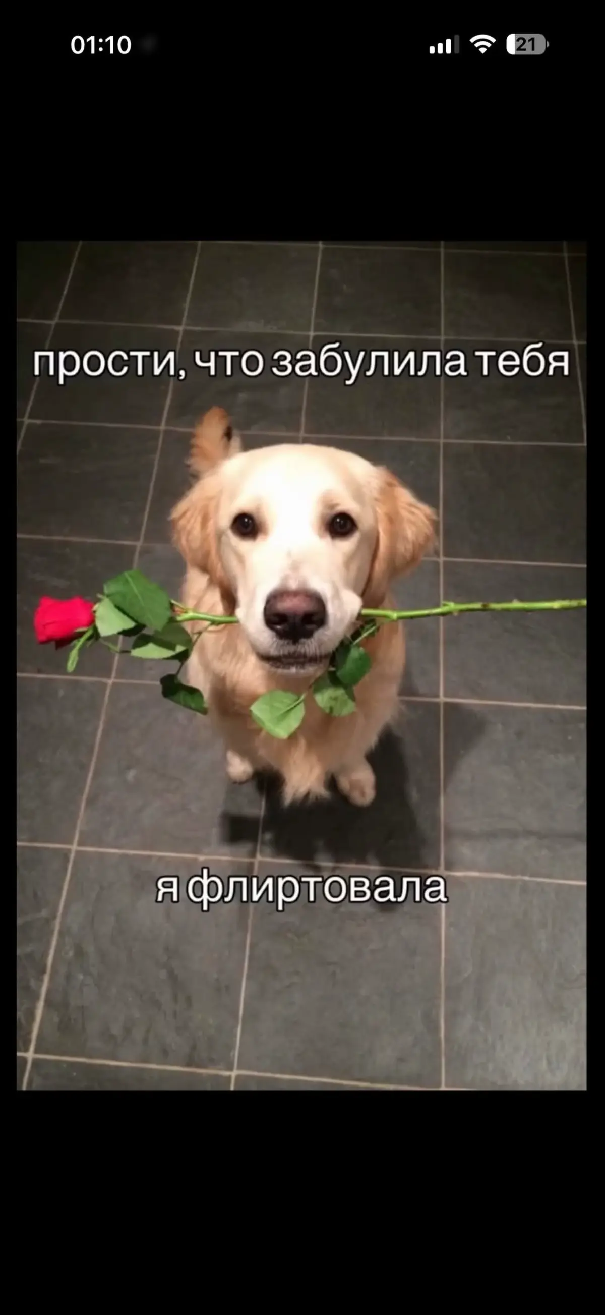 выставляю мемы пока меня не примут на работу ✌🏼 | Сетка — социальная сеть от hh.ru