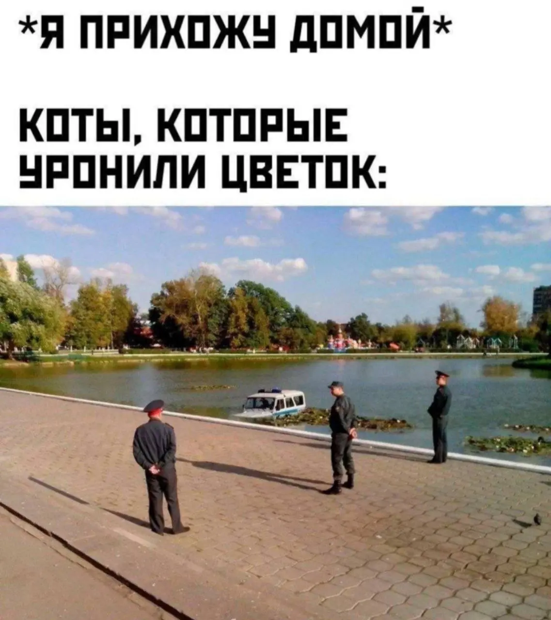 Ну тут цветок реально не прав был | Сетка — социальная сеть от hh.ru