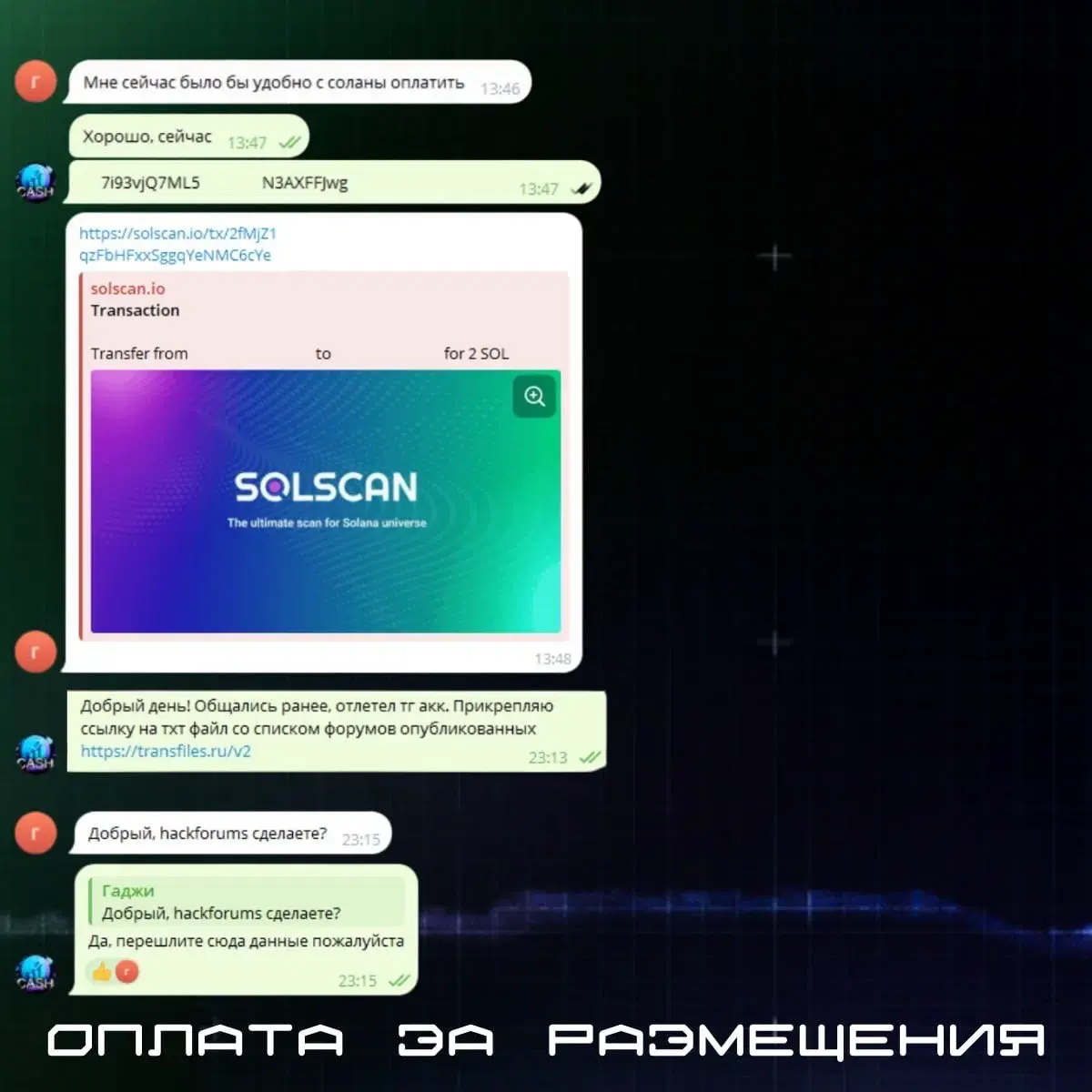 Клиент — стартап с бесплатным анонимным пентест-сканером веб | Сетка — социальная сеть от hh.ru