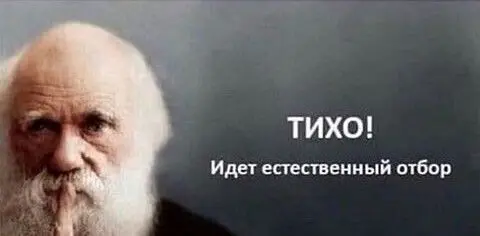Помолчу... пока мысли не станут цензурными, этичными и политкорректными. | Сетка — социальная сеть от hh.ru